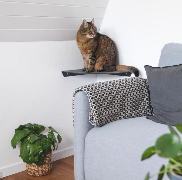 CORNER Eck Katzenliege anthrazit